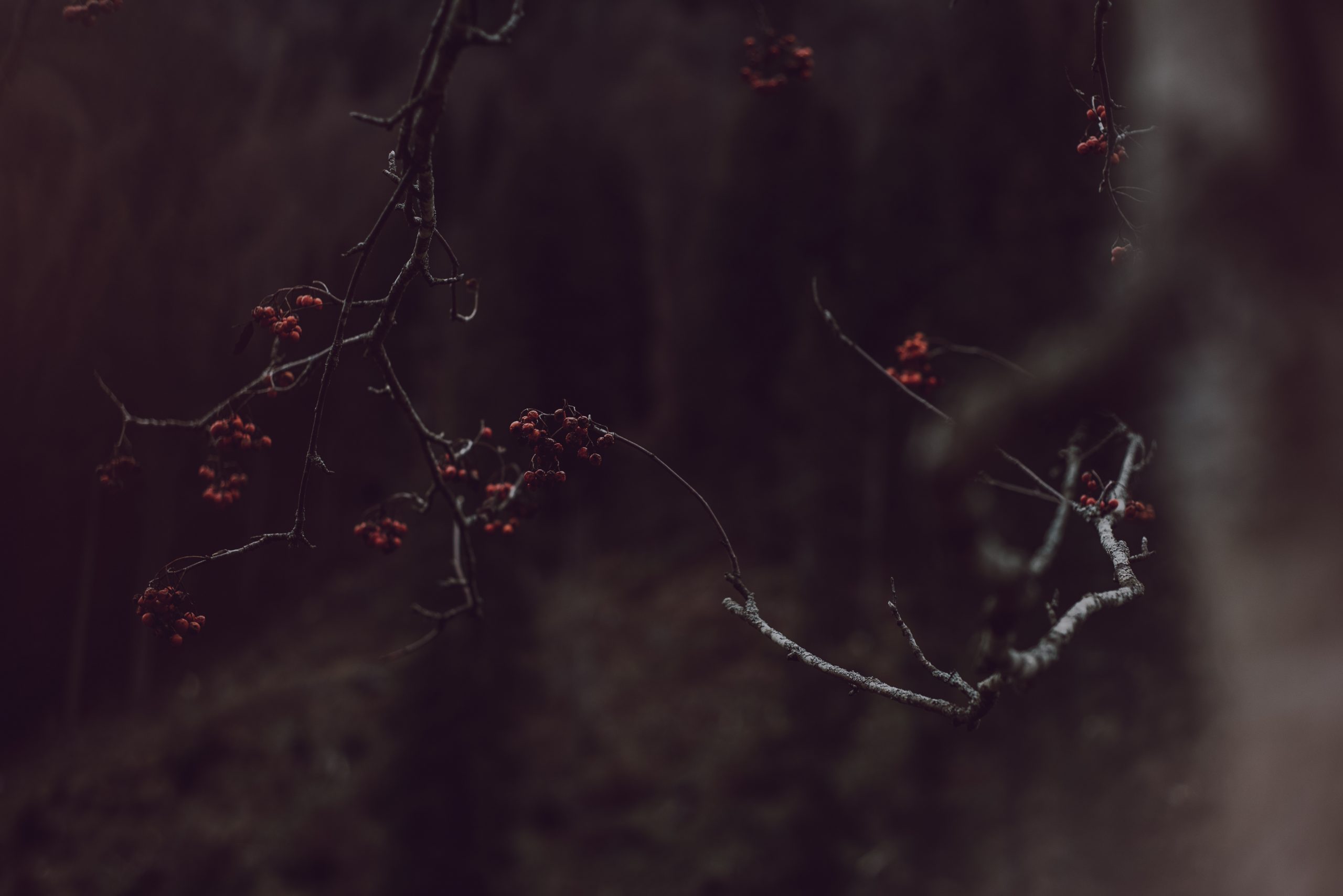 Gefühle für die es Rezepte gibt