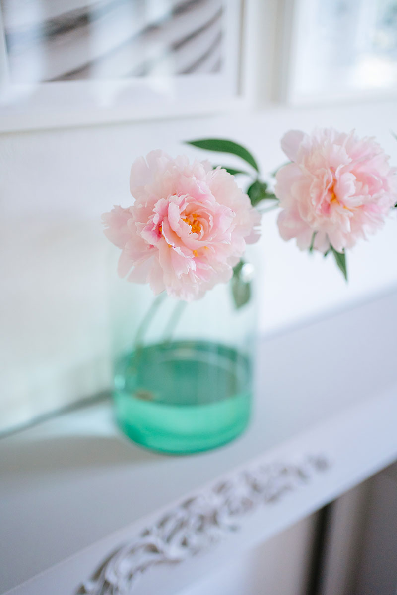 Pfingstrosen im Juni