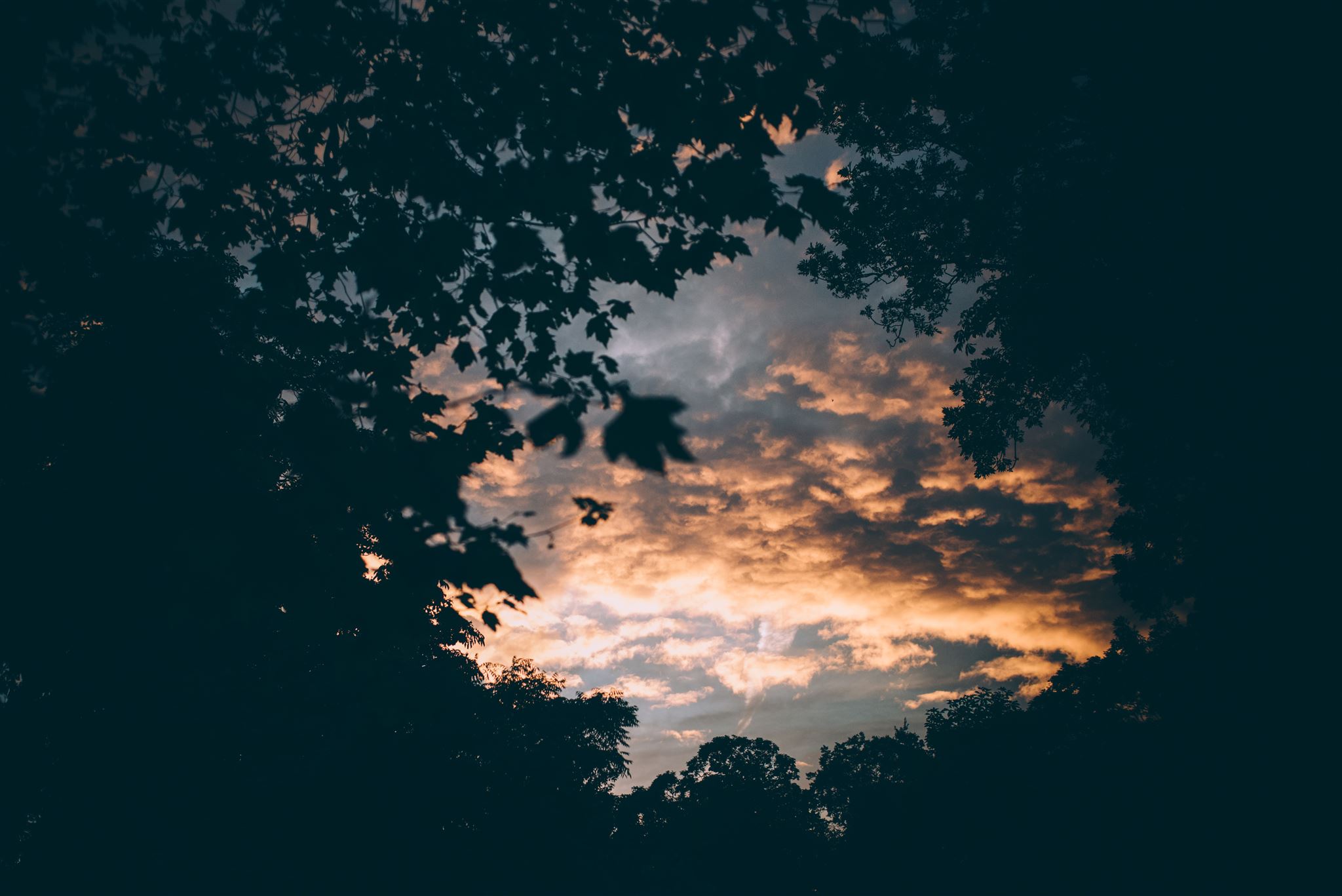 Gefühle für die es Rezepte gibt