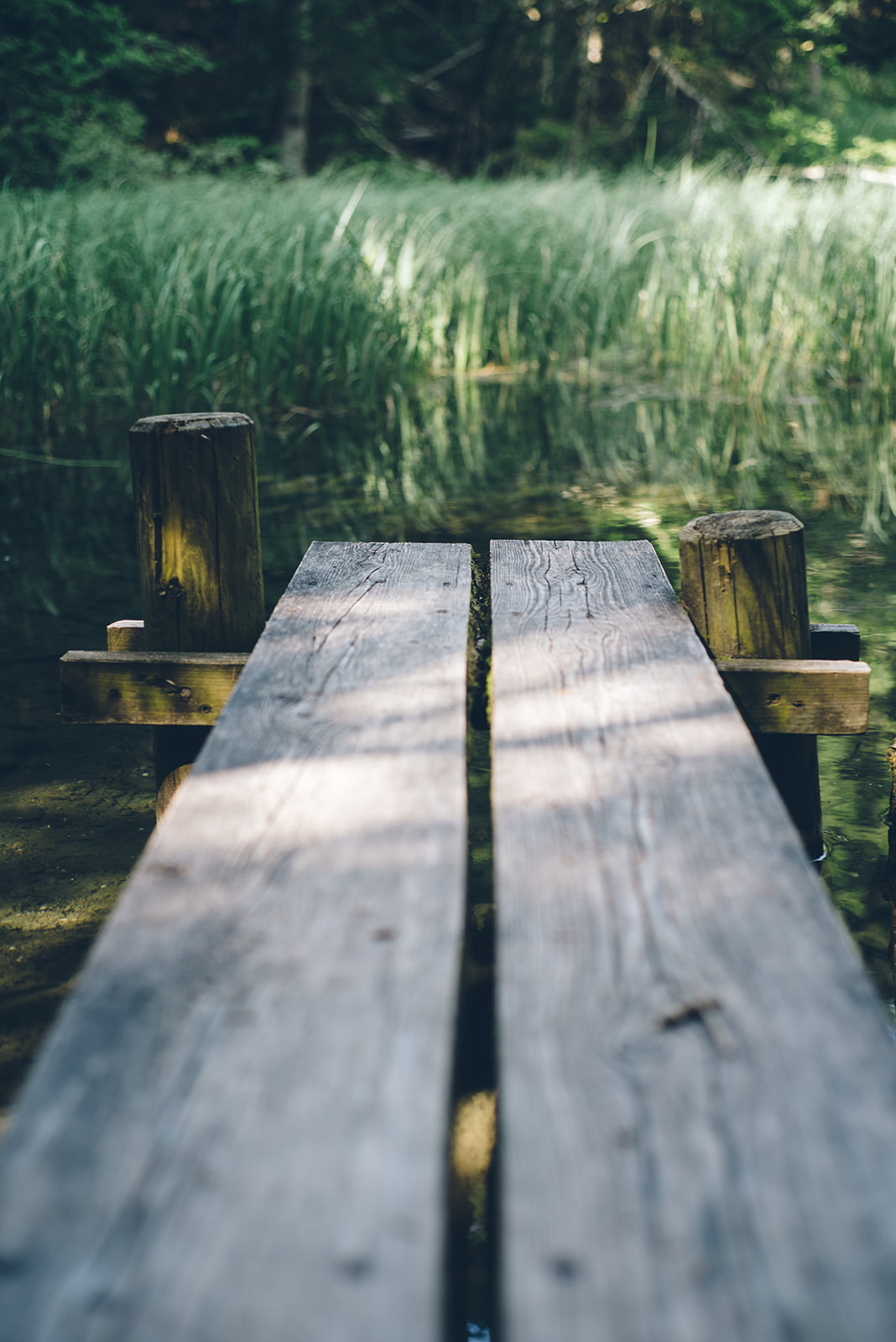 Gefüllte Krautnudeln