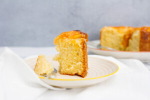 Marillen-Ricotta-Kuchen