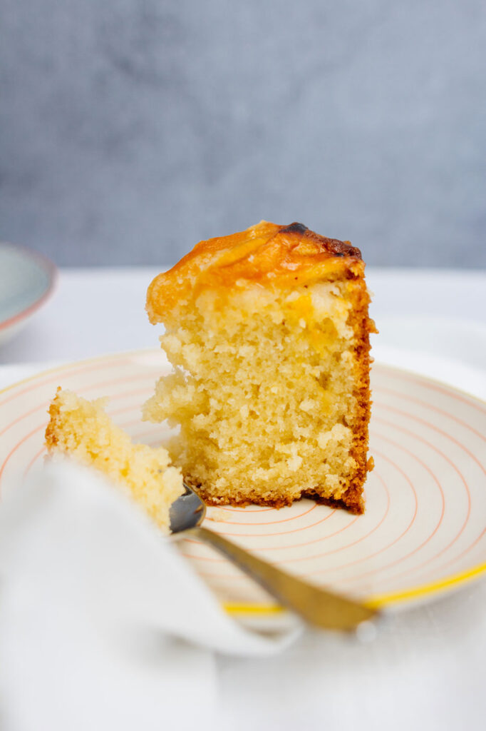 Marillen-Ricotta-Kuchen