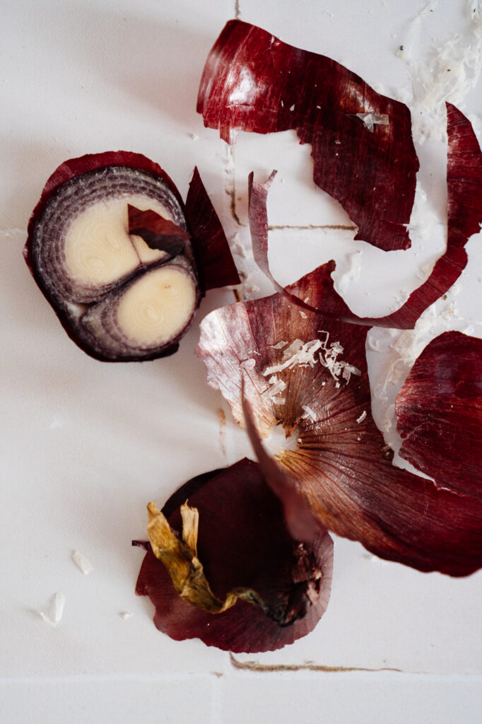 Cremige Pasta mit karamellisierten Zwiebeln und Thymian