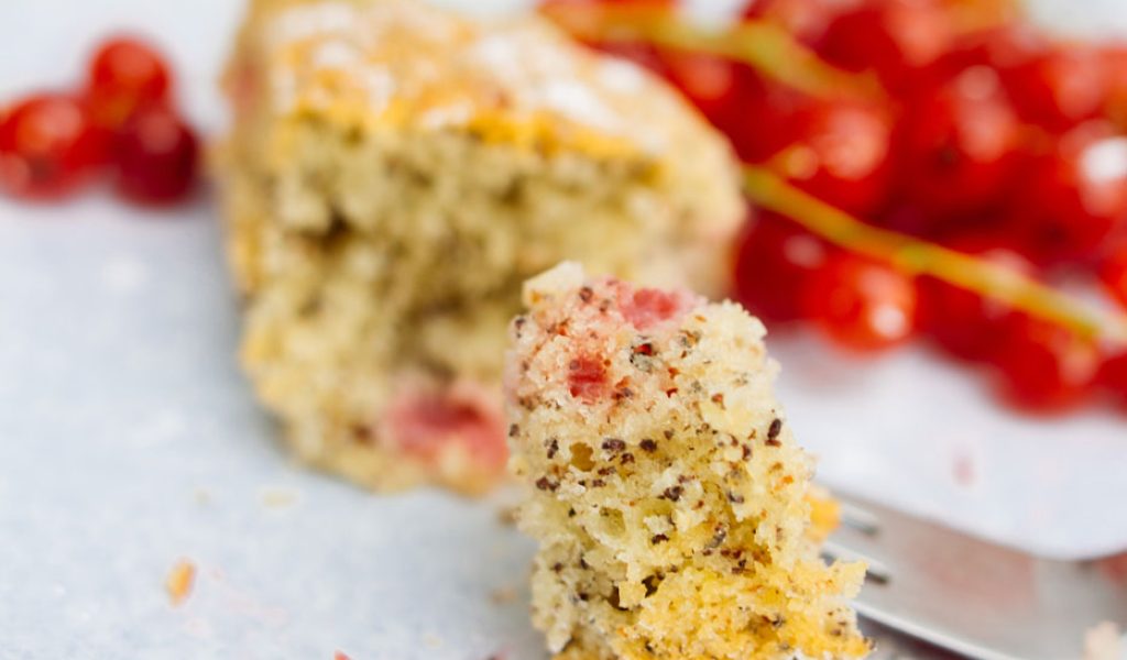 Mohn-Ribiselkuchen-vom-Blech-02